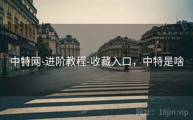 中特网-进阶教程-收藏入口，中特是啥